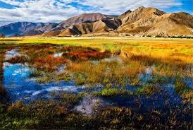 etre-bien-dans-sa-peau-tibet